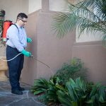 Norcross Pest Control Your Shield Against Unwanted Guests