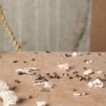 Advanced pest control formulations