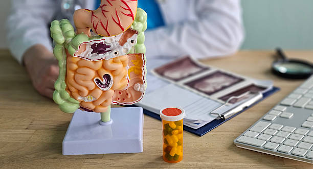 What Healthy Living Really Looks Like in Practice
